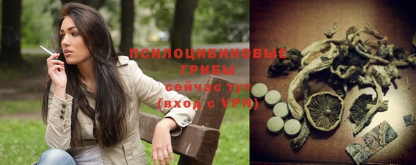 mix Арсеньев
