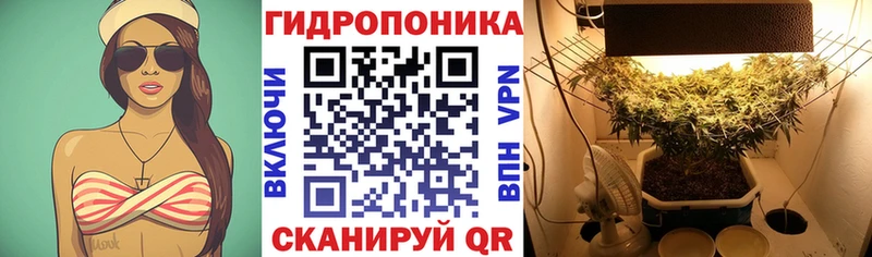 Бошки марихуана планчик  Чехов 